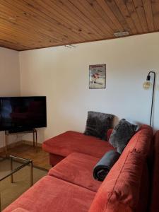 salon z kanapą i telewizorem z płaskim ekranem w obiekcie Chez Corinne w mieście Alex