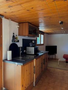 kuchnia ze zlewem i blatem w obiekcie Chez Corinne w mieście Alex +10 zdjęć