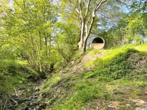 a hill with a tunnel in the middle of a forest at Reetdachkate Fuchsgraben - naturnah & stilvoll mit Wald-Sauna in Steinbergkirche