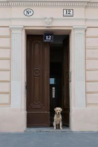 un cane seduto all'ingresso di un edificio di Old Vienna Apartments a Vienna