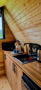 a kitchen with a stove top in a log cabin at Borjomi Hills in Borjomi +10 photos