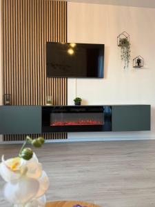 a living room with a fireplace and a tv at Apartament Palace Baile Felix in Baile Felix