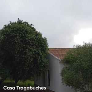 Fotografia z galérie ubytovania Casas Rurales Cortijo la Cañada v destinácii Estepa