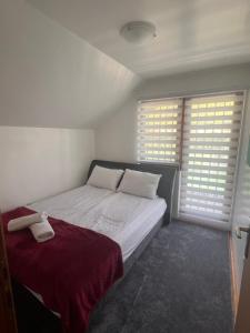a bedroom with a bed and two windows at Vila sa bazenom Lily in Konjic