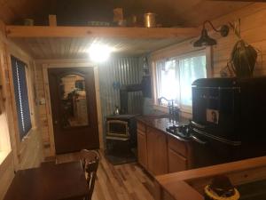 Galeriebild der Unterkunft Rustic Tiny Cabin Nestled in the Woods for an Off-Grid Escape in Nature in Nevada City, California in Nevada City