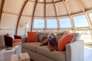 Kép Spacious Unique Pod Perfect for a Secluded Escape in Texas szállásáról Hilltopban a galériában Még 6 kép