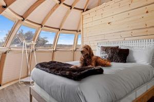 Kép Spacious Unique Pod Perfect for a Secluded Escape in Texas szállásáról Hilltopban a galériában