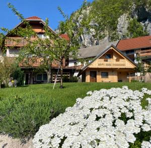 Photo de la galerie de l'établissement Rooms Ravnik, à Bled 76 autres photos