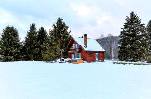 una casa rossa in un campo innevato con alberi di Rustic Cabin Rental with a Hot Tub near Windham, New York a Windham
