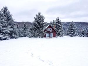 Rustic Cabin Rental with a Hot Tub near Windham, New York durante l'inverno