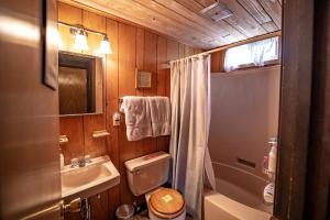 un piccolo bagno con un water e un lavandino di Rustic Cabin Rental with a Hot Tub near Windham, New York a Windham