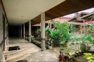 a patio with a bunch of plants in a building at Melvo's Homestay in Puerto Princesa City