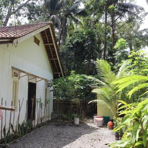 een klein wit huis met een hek en bomen bij SHYA House in Batukaras
