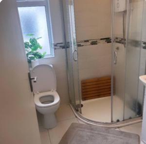 ein Badezimmer mit Toilette und Glasdusche in der Unterkunft 3 Bedroom house in Dublin in Lucan
