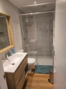 a bathroom with a shower and a sink and a toilet at Piso de lujo con gran terraza in Sanxenxo +23 photos