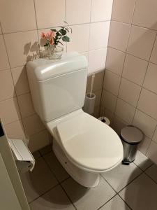 baño con aseo y jarrón con flores en Wohnoase mit gratis Parkplatz, en Basilea