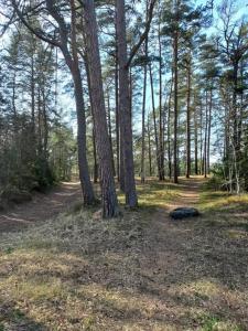 Příroda nedaleko apartmánu