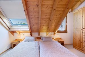 a bedroom with a bed and a skylight at Schwalbennest in Bodman-Ludwigshafen