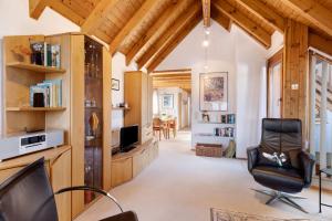 a living room with a chair and a television at Schwalbennest in Bodman-Ludwigshafen