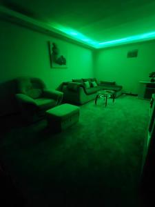 a green room with a couch and a table at MAXX Lake Apart in Bacău