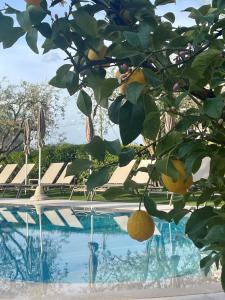 Bazén v ubytování Hotel Al Sole Bardolino nebo v jeho okolí