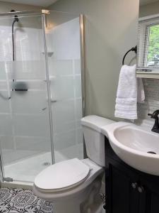 a bathroom with a shower and a toilet and a sink at The Red Country Cottage in Amenia