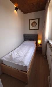 Postel nebo postele na pokoji v ubytování Guesthouse Purbach