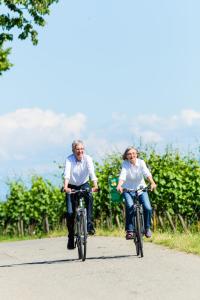 Fotografie z fotogalerie ubytování Hotel Weinhaus Stern v destinaci Bürgstadt + 12 fotografií