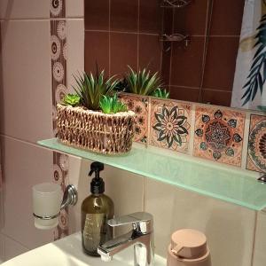 two potted plants on a shelf above a bathroom sink at Cozy Studio in Hacienda by Flat Mаnager in Sozopol