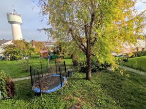 Vonkajšia záhrada v ubytovaní Votre deux pièces à Amnéville