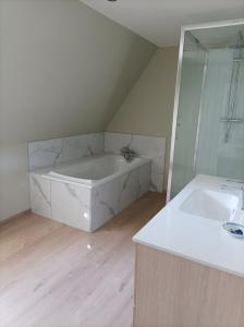 a bathroom with a bath tub and a sink at Château de Bellignies in Bellignies