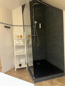 a shower with a glass door in a bathroom at Logis Hôtel Restaurant Volcan Sancy in Nébouzat +41 photos