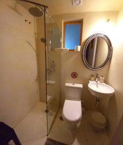 a bathroom with a toilet and a shower and a sink at Ifigenia's Rooms in Kardamili +44 photos