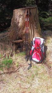 Ảnh trong thư viện ảnh của Ferienwohnungen Börnert am "Klingerbach" ở Tellerhäuser