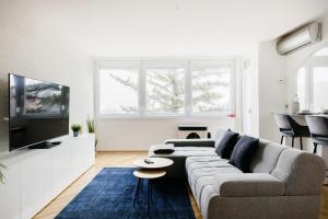 a living room with a couch and a tv at Tranquil Hideaway on Gellért Hill with Parking in Budapest