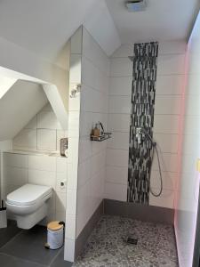 a bathroom with a shower and a toilet at Le Coeur Champêtre in Oberhoffen-sur-Moder +1 photo