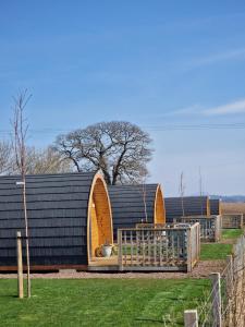 a building with two domes and a fence in a yard at Jerusalem Farm Pods in Tranent +20 photos