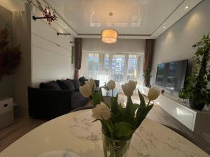 Televízia a/alebo spoločenská miestnosť v ubytovaní Cozy apartment
