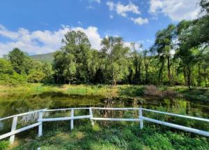 Příroda nedaleko luxury tent + 23 fotografií
