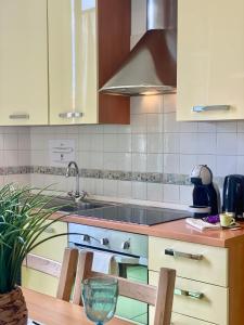 une cuisine avec un évier et une cuisinière dans l'établissement Bnbook-Borromeo 2, à Rho