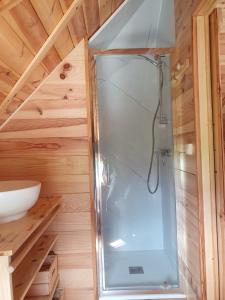 a glass shower in a bathroom with a sink at Kota au Mont des Autruches in Sainte-Sigolène