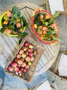 ViaroloB&B Il Conte Giacomo的相册照片