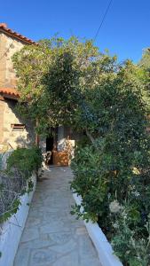 a house with a tree over a walk way at Petriya Kontias in Kondiás