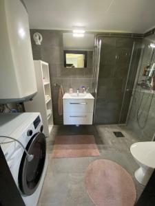 un bagno con lavatrice e lavandino di Guest house in Röinge Hässleholm a Röinge