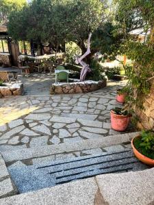 Giardino di Agriturismo Nuraghe Tuttusoni