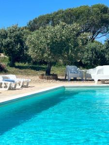 Piscina di Agriturismo Nuraghe Tuttusoni o nelle vicinanze