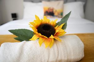eine Sonnenblume auf einer Toilettenpapierrolle in der Unterkunft Kyoto Central I 4 BDR House I 50 inch Smart TVs in Rooms I Large Spacious Rooms I Refurbished I Derby City Centre in Derby