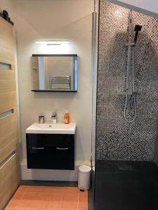 a bathroom with a sink and a shower at Villa Manoca in Boisemont