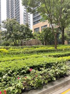 Gallery image of Yiweidu Ladies Space Capsule Youth Apartment in Shenzhen