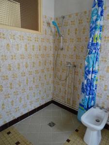 a bathroom with a shower and a toilet at Les hirondelles de montsec in Pampelonne +22 photos
